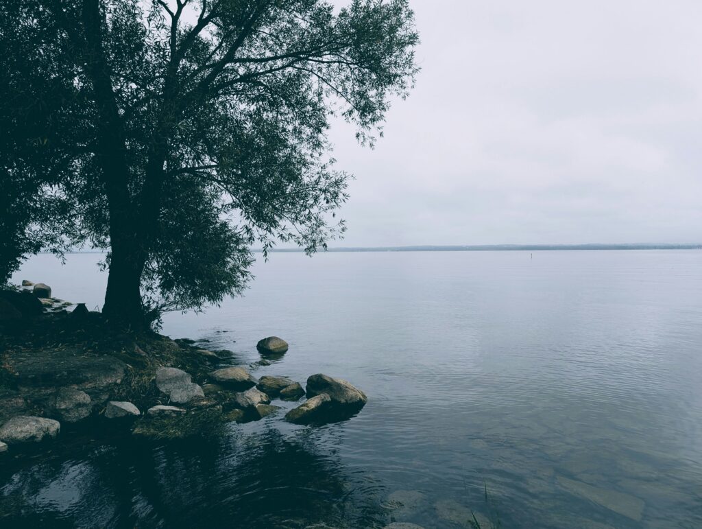 Calm natural landscape representing nervous system regulation