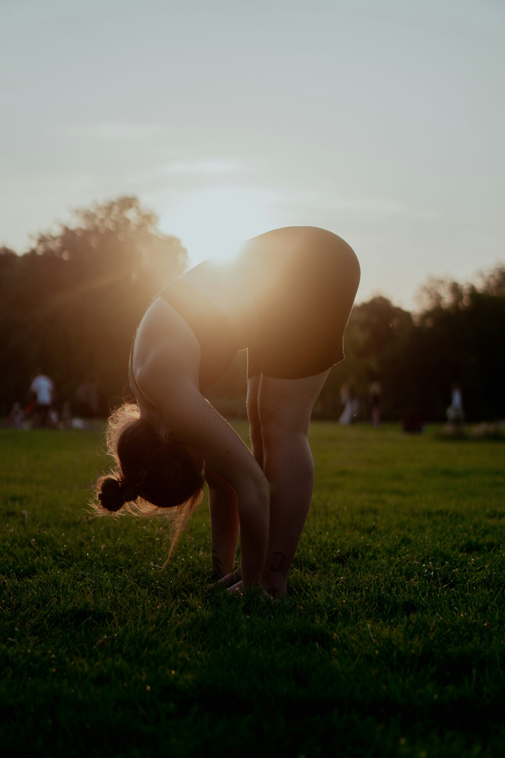 trauma in the body somatic therapy